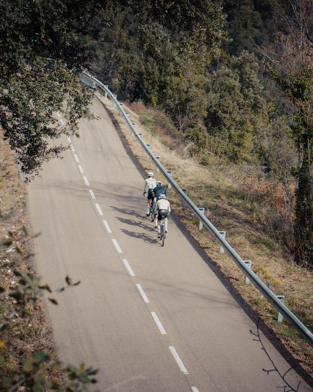 Photographie provisoire : une route de la Costa Brava, trois cyclistes en descente entre les arbres, une glissière à droite.