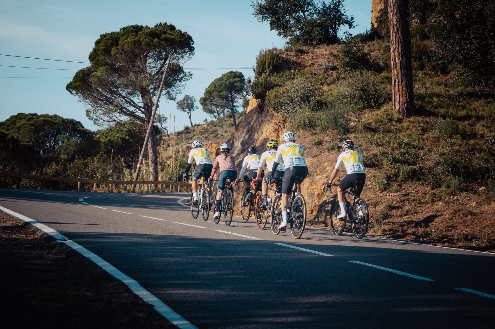 Six cyclistes vus de dos grimpent une route bordée de pins, cinq en tenue blanche et jaune de l’équipe et un en haut rose, talus ocre et ciel bleu.
